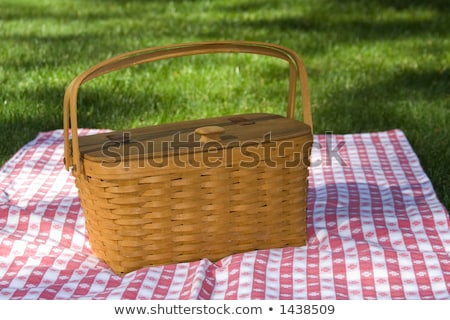 Stok fotoğraf: Picnic On The Grass Red Checked Tablecloth Basket