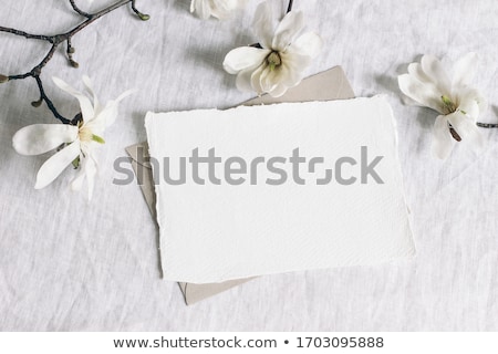 Stok fotoğraf: Magnolia Flowers Flat Lay Scene