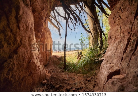 Stock photo: Cave