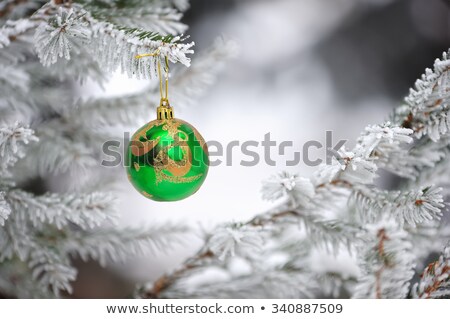 Foto stock: Christmas Branches Of The Christmas Tree With A Balls And Snowflakes Isolated On White Background