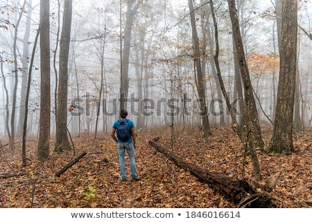 Foto stock: Traveler Looking To A Forest