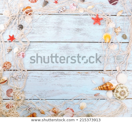 Stok fotoğraf: Sea Shell Background Summertime Destination And Beach Holiday T