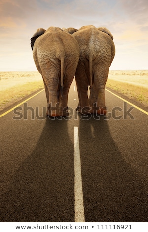 Foto stock: Conceptual - Going Away Together Travel By Road