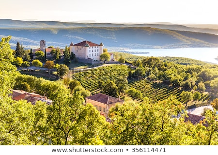 Foto stock: Vineyard In Provence