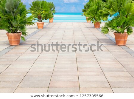 ストックフォト: Wooden Boardwalk To Beach