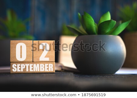 Zdjęcia stock: Cubes Calendar 2nd September