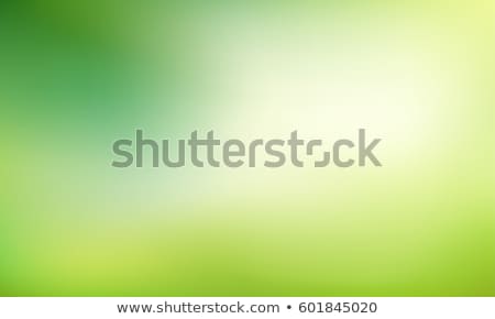 [[stock_photo]]: Leaves Green A Vector Background