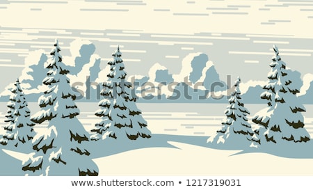 Frozen Trees In Snowy Field ストックフォト © Vertyr