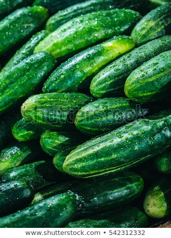 Stockfoto: Fresh Green Cucumber On Market Macro