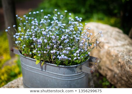 Foto stock: Blue Rusty Pot