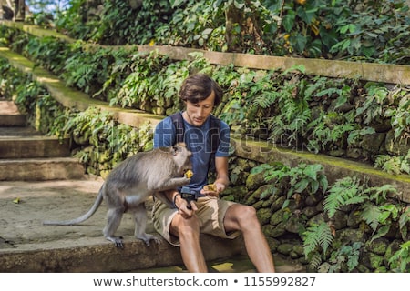 Foto stock: Selfie With Monkeys Young Man Uses A Selfie Stick To Take A Photo Or Video Blog With Cute Funny Mon