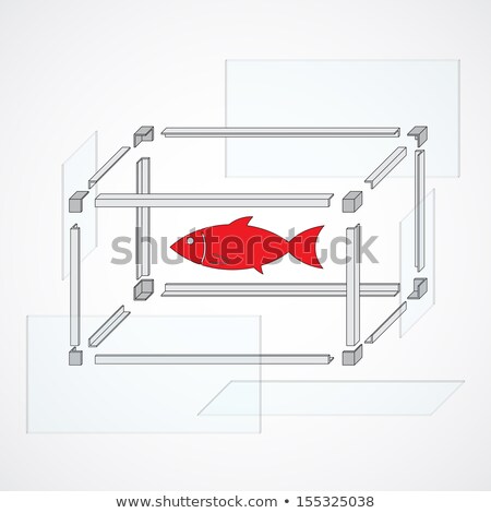 The Scheme For Building An Aquarium For Fishes Stockfoto © pzAxe