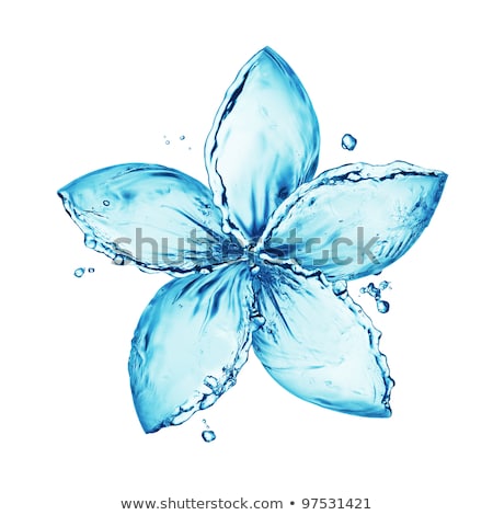Сток-фото: сплеск · воды · в · форме · цветка