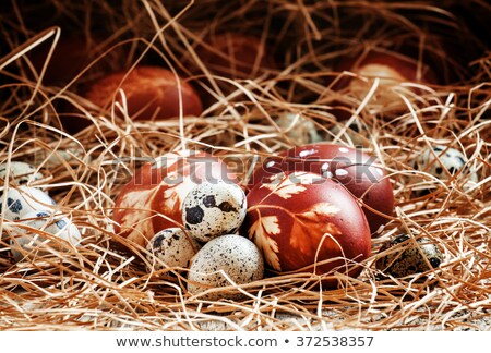 Stock foto: Easter Eggs Dyed With Onion Peels And Quail Eggs