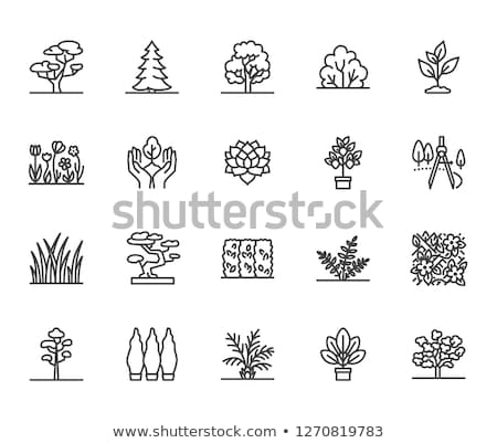 Landscape Design Icon Set Stock foto © Nadiinko