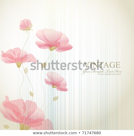 Colorful Grungy Flower Background ストックフォト © Alkestida