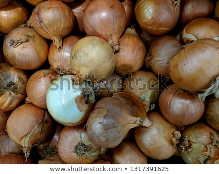 ストックフォト: Whole Peeled And Diced Brown Onion