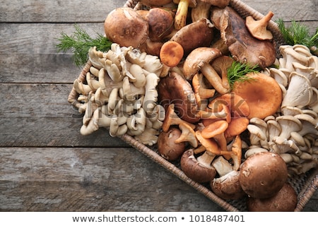 Сток-фото: Raw Oyster Mushrooms