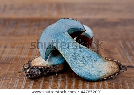 Stock foto: Dotted Stem Bolete In Forest
