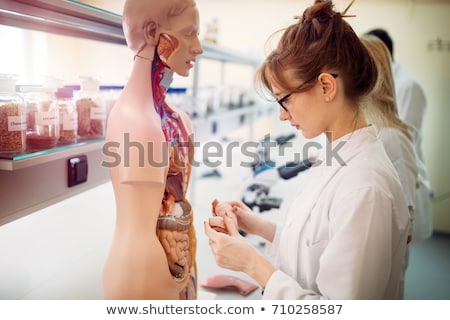 [[stock_photo]]: Biology Classroom