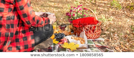 Сток-фото: People On The Picnic