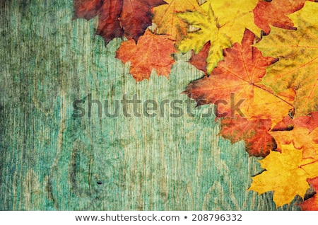 Foto d'archivio: Autumn Yellow Leaves On The Grunge Wooden Cyan Desk