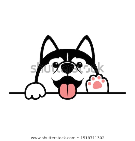 [[stock_photo]]: Husky