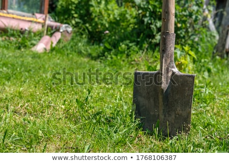 Foto stock: Shovel In Green Grass
