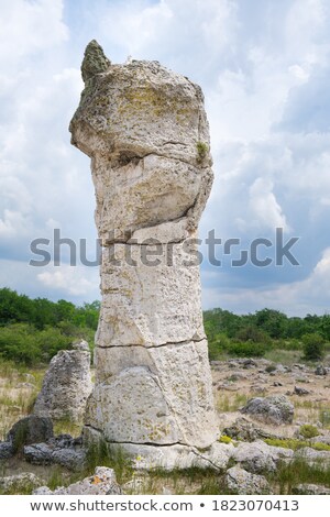 Foto stock: People Looking At Old Ruins Pillars And Nature