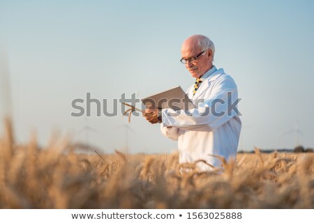 Foto d'archivio: Researcher Doing Field Test On New Kinds Of Grain And Wheat