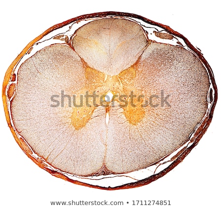 Foto stock: Las Medulas