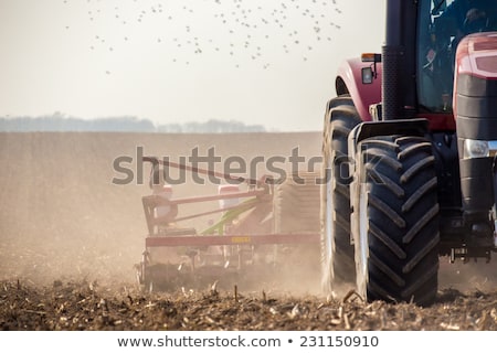 ストックフォト: Planting Potatoes With A Tractor