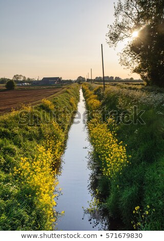 ストックフォト: Oil Farm With River