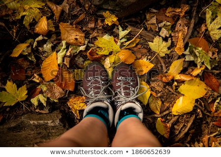 ストックフォト: Pair Of Brown Female Boots On A Background Of Golden Autumn Leav