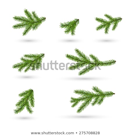 Stock fotó: Christmas Border With Fir Tree Branches Cones Christmas Decora