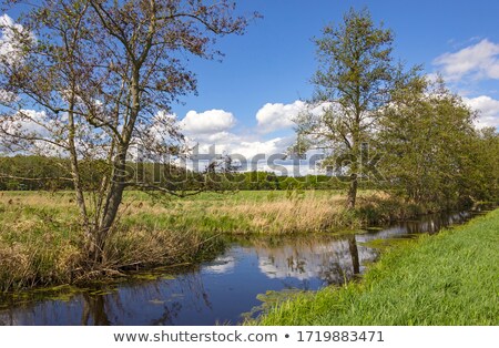 Сток-фото: Small Creek In Rural Landscape