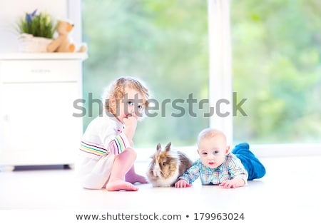 ストックフォト: Girl Playing With His Pet Big Rabbit