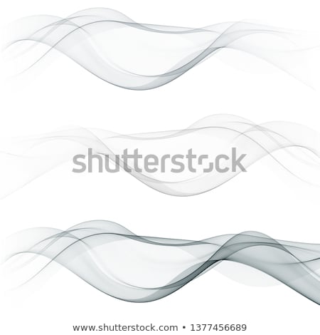 Foto d'archivio: Set Of Transparent Soft Lines On White