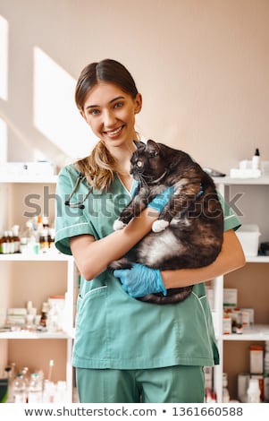 Foto d'archivio: A Woman Vet Posing And Smiling With A Cat