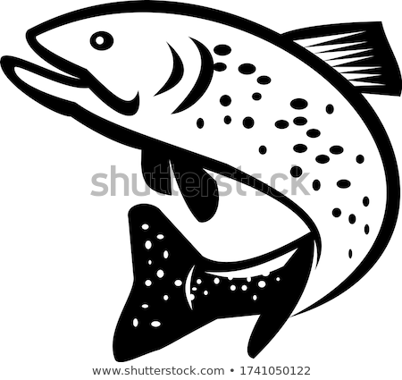 Stock fotó: Brook Trout Or Brook Char Jumping Up Retro Black And White