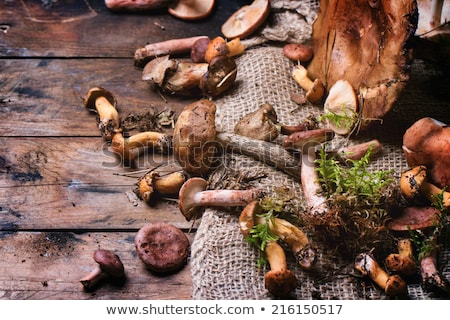 Stock photo: Wild Mushrooms Mix