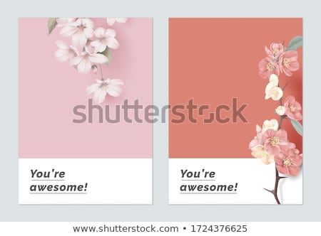 Zdjęcia stock: Japanese Quince