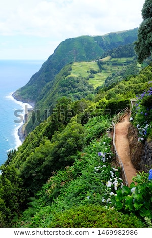 Stok fotoğraf: Coastal Scenery At The Azores