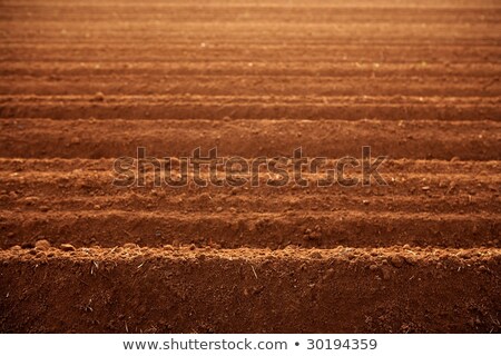 Geploegde Rode Klei Bodem Landbouw Gebieden Stockfoto © lunamarina