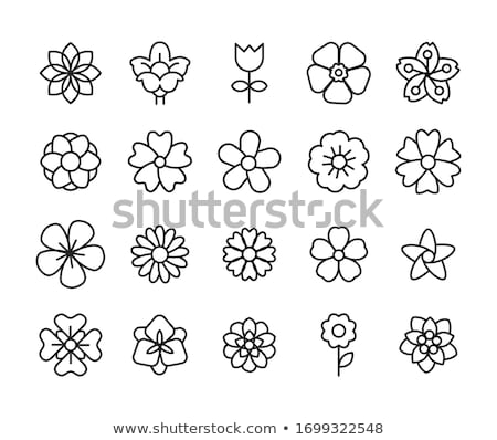 Foto stock: Icon Flower