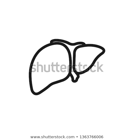 Stockfoto: Liver Icon