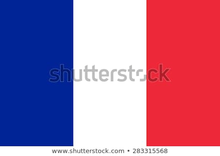 Stock photo: France Flag Vector Illustration