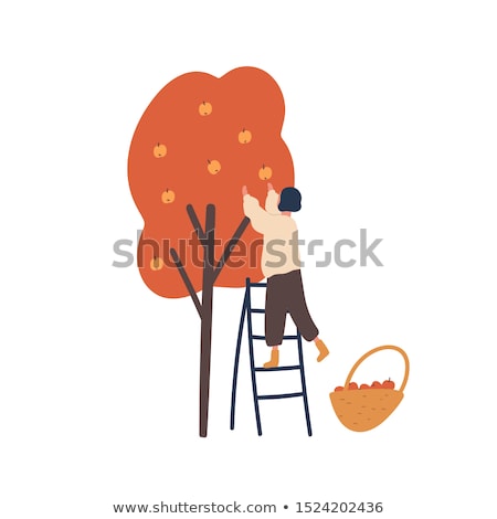 Stock foto: Woman Picking Apples Isolated Female Character