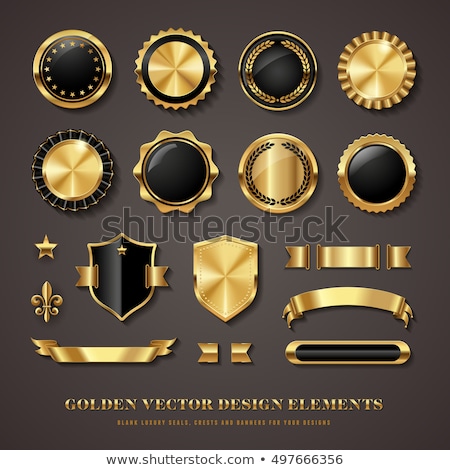 Stok fotoğraf: Vector Shields For Design Black Collection