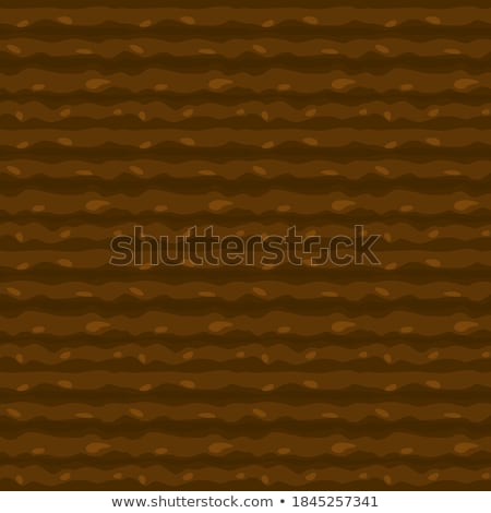 Stock photo: Seamless Ground Texture